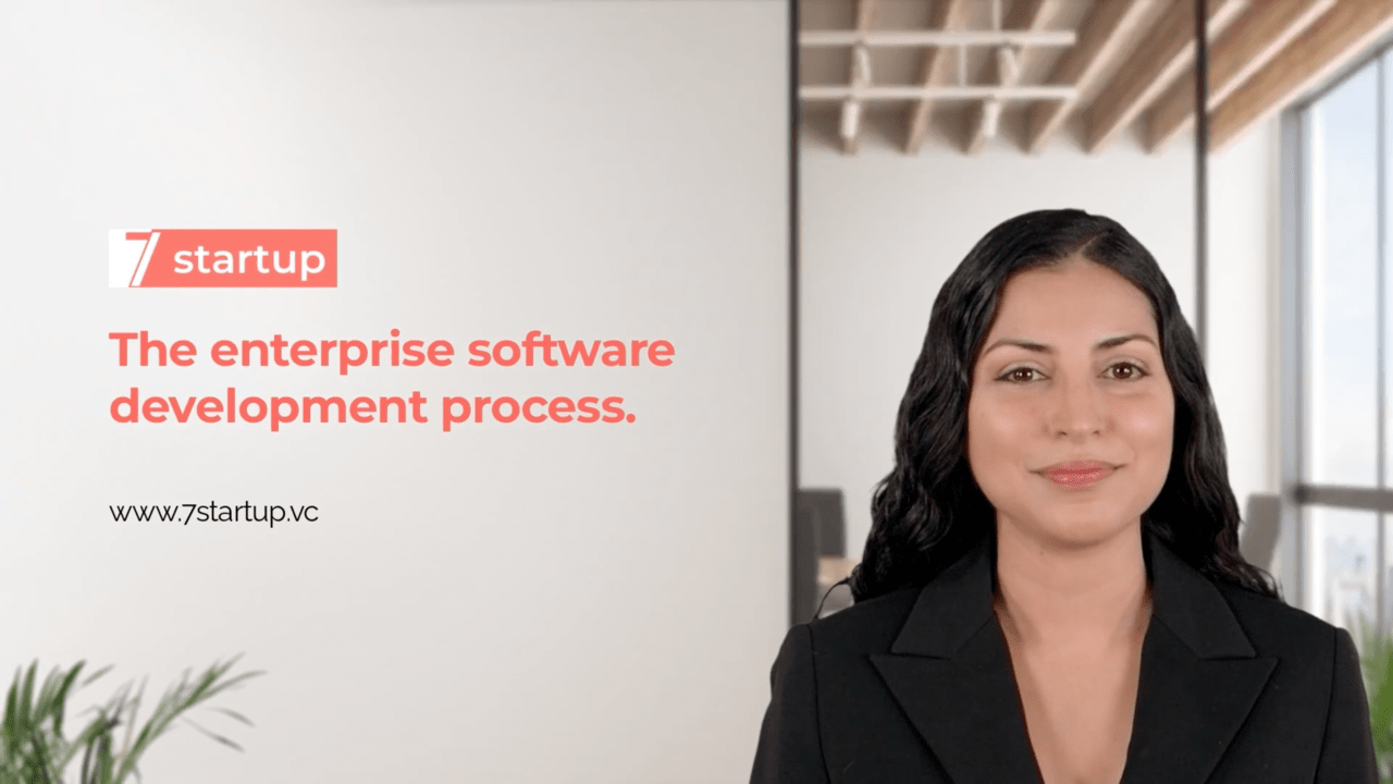 Enterprise software development