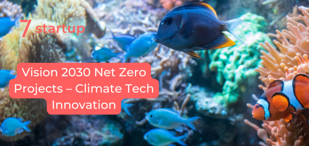 Vision 2030 net zero projects in Saudi Arabia – NEOM The Line and Red Sea renewable energy